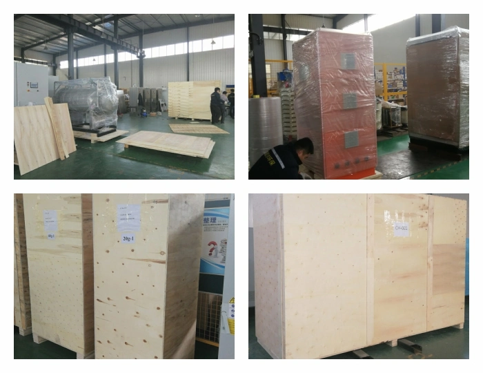 Ozone Disinfection Equipment for Food Plant Sterilization