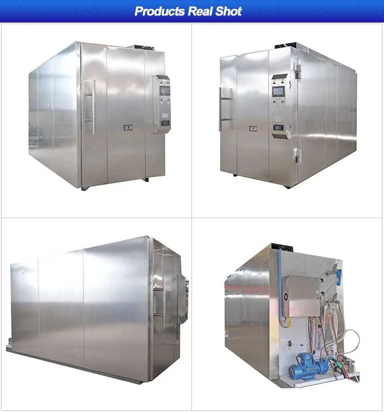 15 Cbm Medical Waste Autoclave Eo Gas Sterilizer / Hospital Sanitizer with 2-20cube