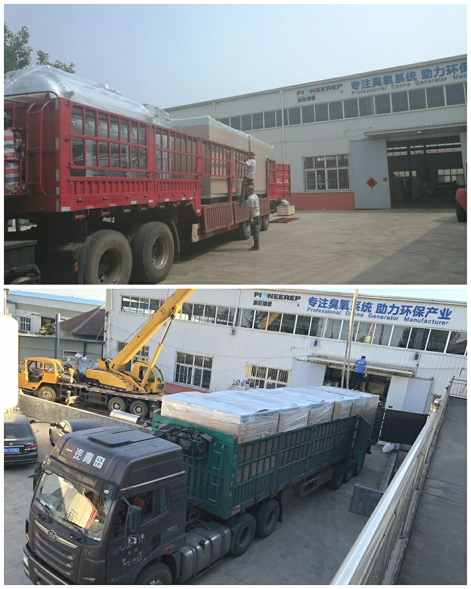 Ozone Disinfection Equipment for Food Plant Sterilization