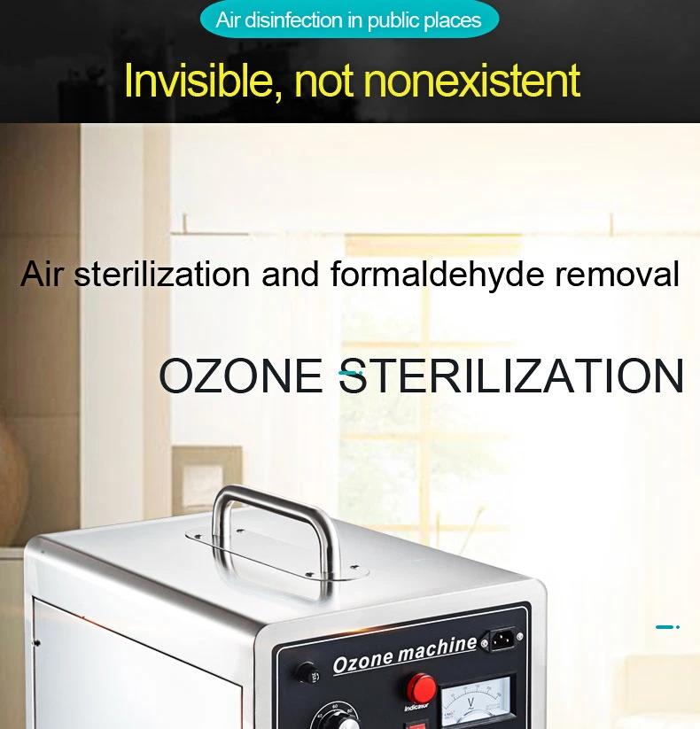 30g Home Vegetables Clean Fruit Washer Sterilizer Generator Ozone Machine