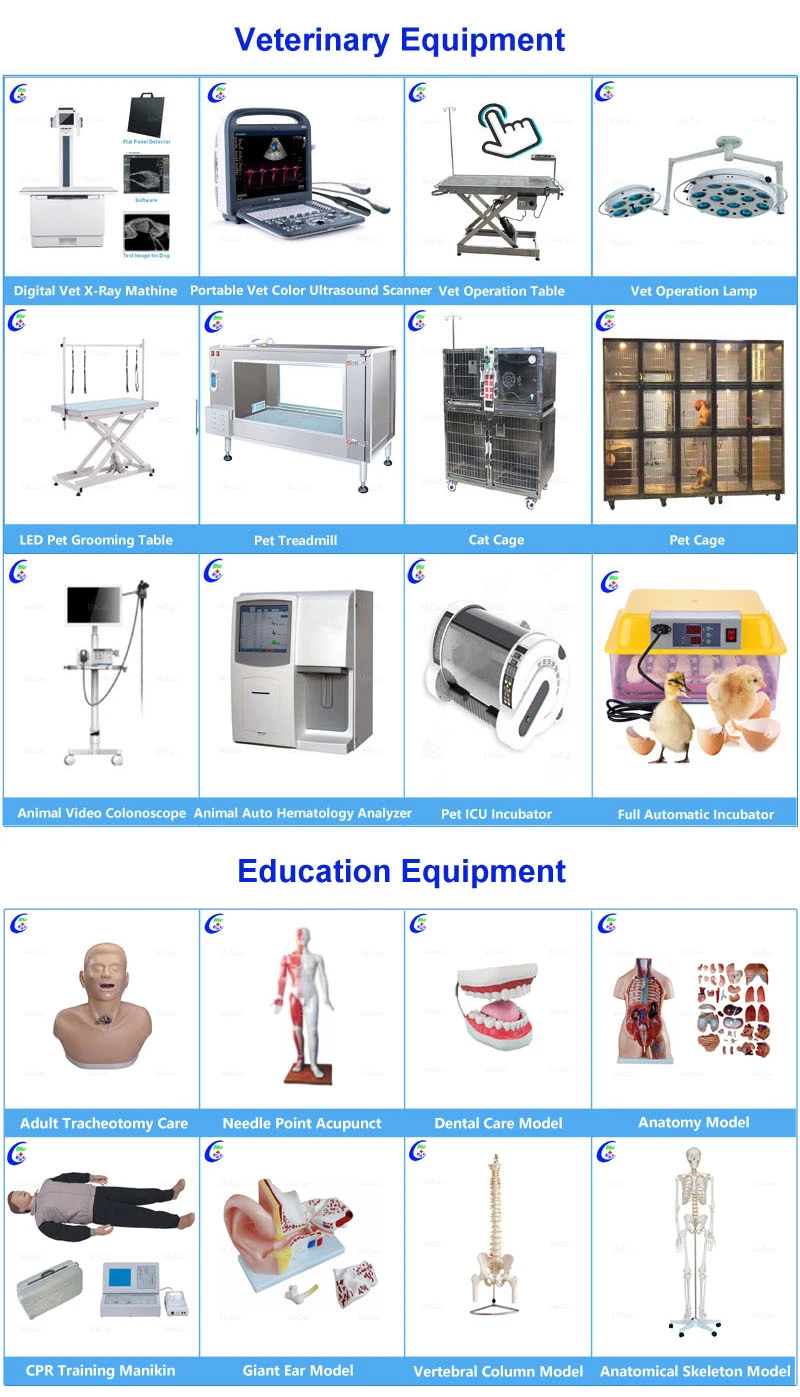 Multiple Kinds and Factory Price Portable UV Air Sterilizer