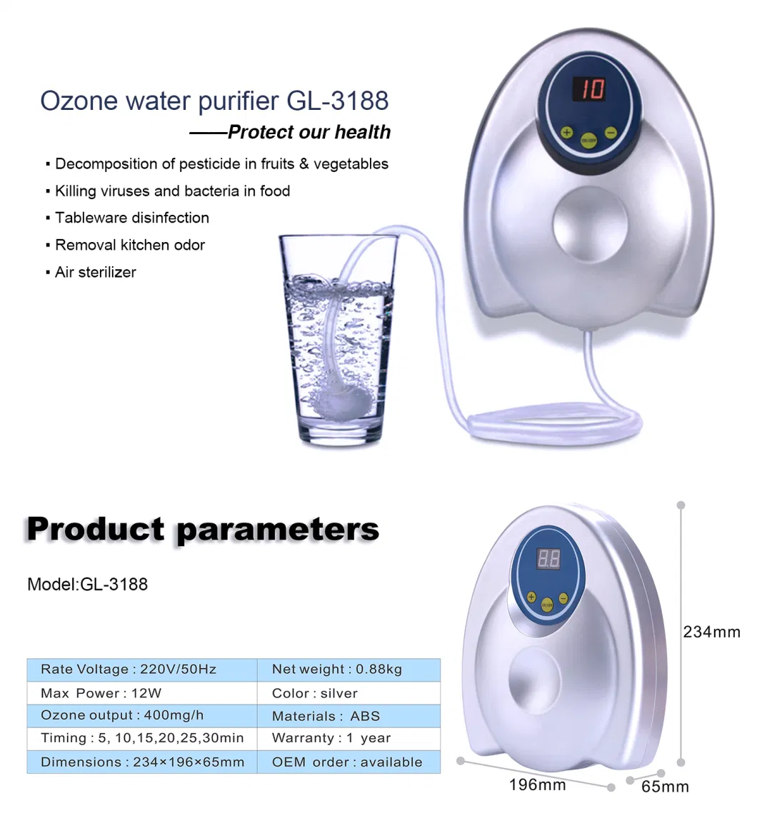 Wall Mounted 400mg/H Ozone Food Disinfection Sterilizer Portable Vegetable Cleaner Machine