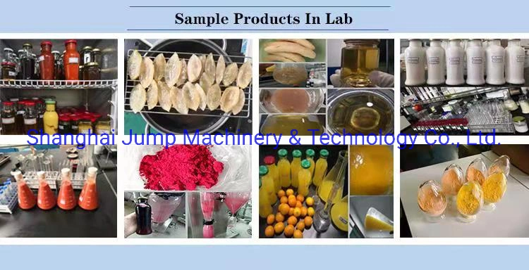 Pumpkin Processing Line 2 Ton/H Cooked and Homogenized Pumpkin Puree Processing Line Machine