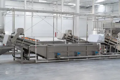 Productos de polvo inteligentes máquina de secado/esterilizador de microondas de especias continuo