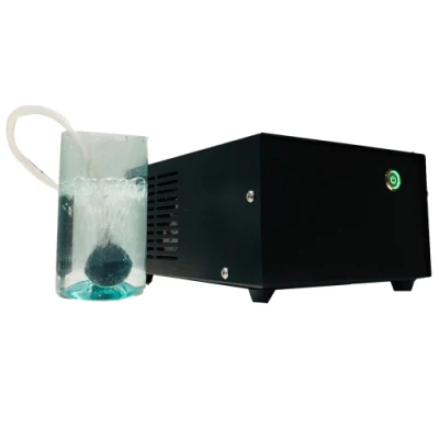 Portable generador de ozono El ozono Esterilizador de alimentos para su vida