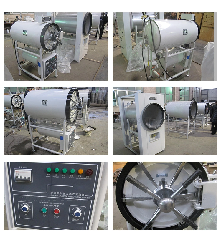 Class B Sterilizer Horizontal Autoclave for Sterilizing Surgical Instruments Fabric Glass Culture Medium