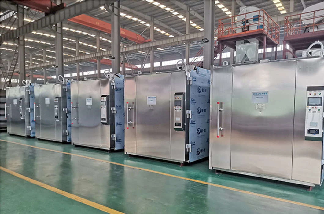 CE Approved Automatic Eo/Ethylene Oxide Gas Disinfection Chamber Machine