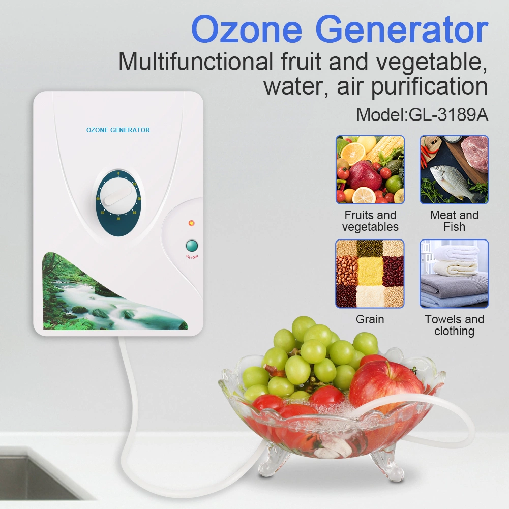 Home Kitchen Ozone and Food Sterilizer Ozone Fruit and Vegetable Washer