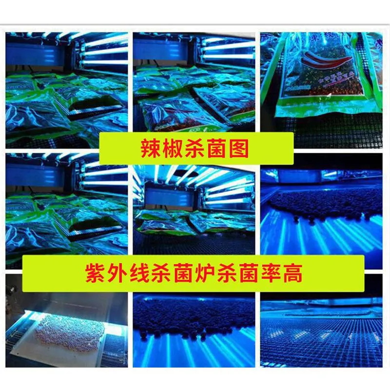 Disinfection Sterilization Ultraviolet Food UV Tunnel with Ultraviolet Sterilizing Lamp Milk Vegetable Sterilization Machine
