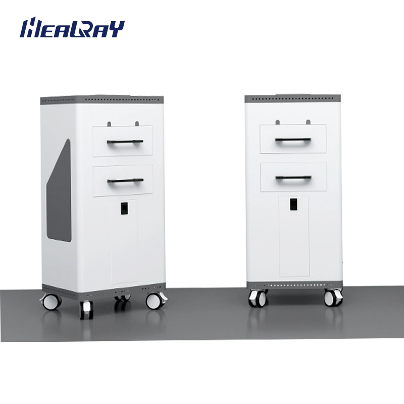 Bed Unit Sterilizer Hospital Medical Equipment Sterilization Machine Bed Unit Ozone Sterilizer