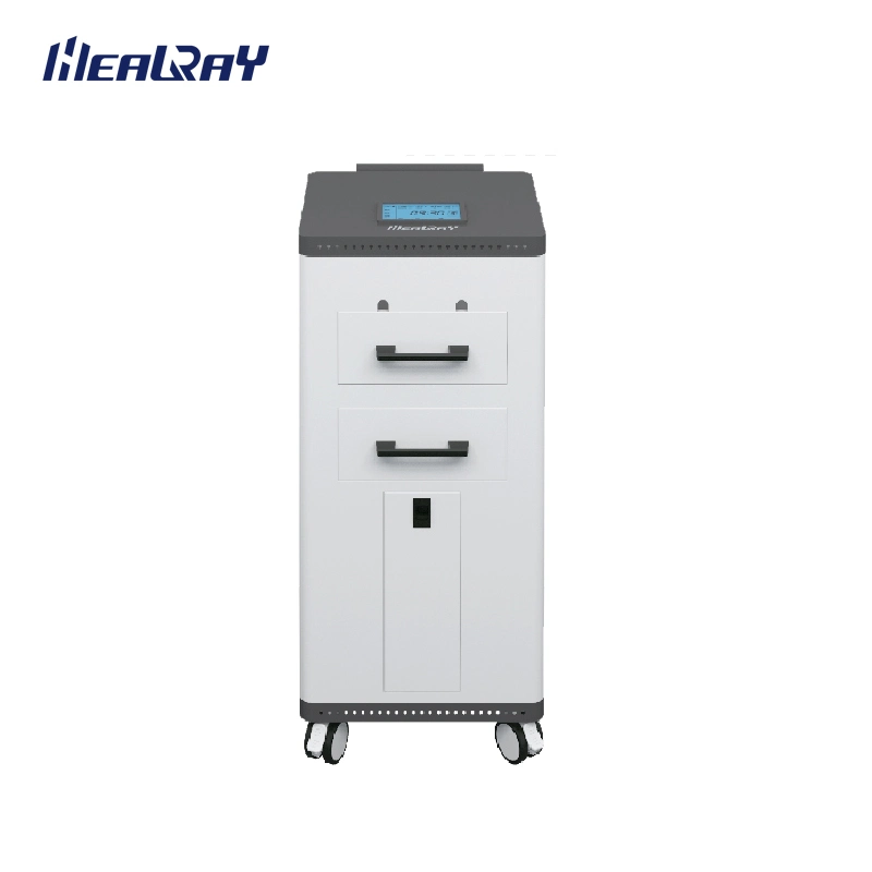 Bed Unit Sterilizer Hospital Medical Equipment Sterilization Machine Bed Unit Ozone Sterilizer