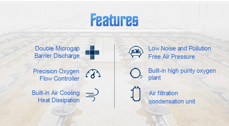 Ozone Generator 30g Medical Sterilization Oxygen Equipment