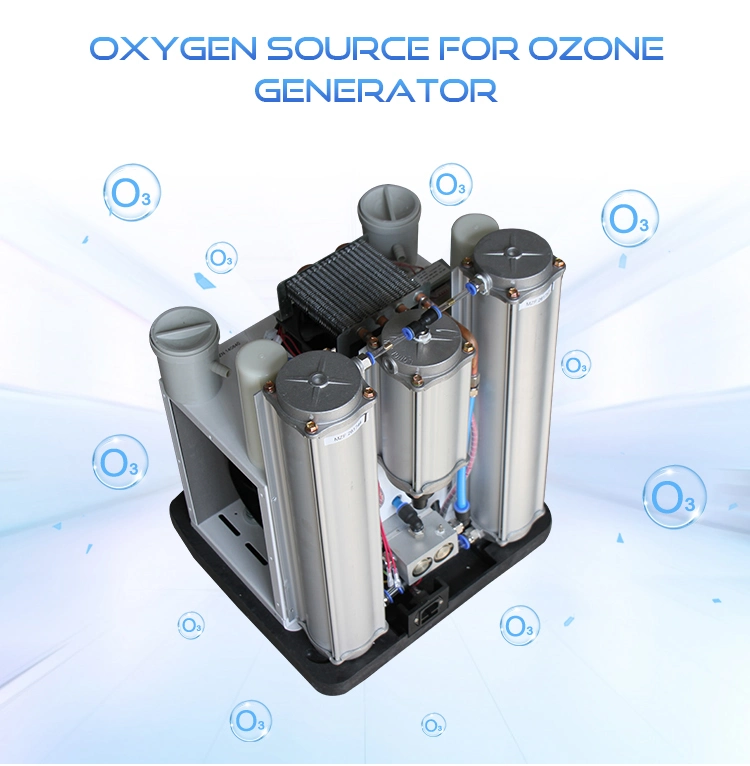 Ozone Generator 30g Medical Sterilization Oxygen Equipment