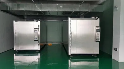  Produzione di siringhe sterilizzatrici Eto gas Machine/M3 sterilizzatore di ossido di etilene EtO gas Disinfection Machine Produttore per la sterilizzazione con maschera