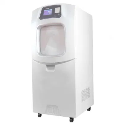 Apparecchiatura da laboratorio sterilizzatore al plasma per basse temperature H2O2 per autoclave per uso odontoiatrico