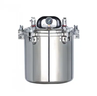 Sterilizzatore per autoclave medicale ad alta temperatura con controllo della sovratemperatura per ospedale