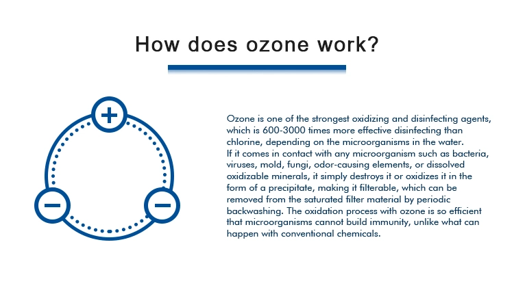 High Capacity Commercial Ozone Generator O3 Air Purifier Ozonizer Sterilizer