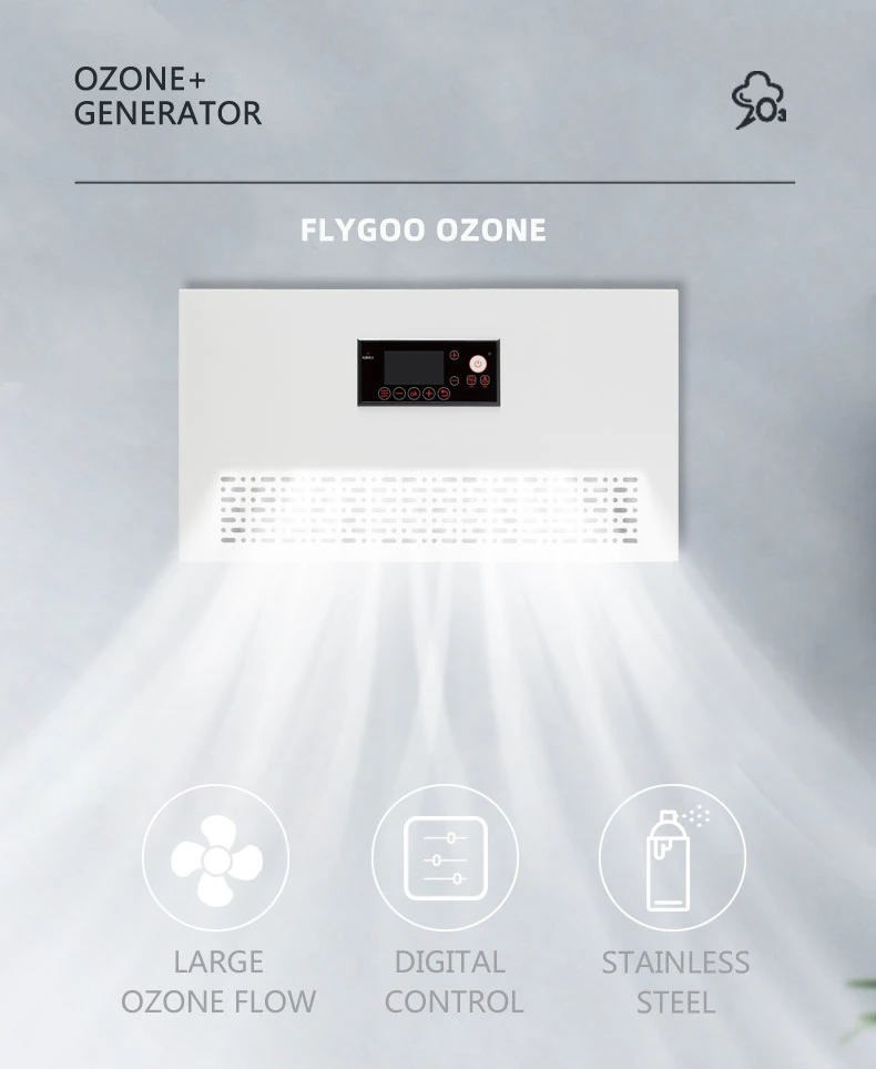 Flygoo Ozone Generator Bed Bugs Killing for Hotel Room