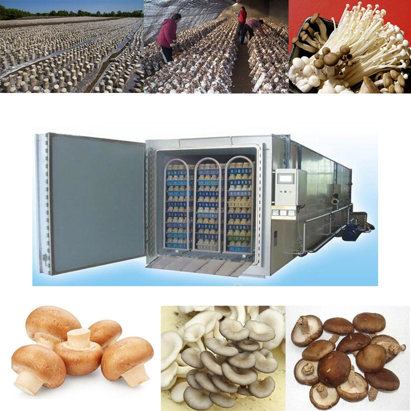 Hot Sale Mushroom Cultivation Sterilizer with High Quality