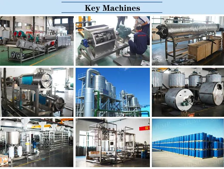 Dairy Cream Production Line