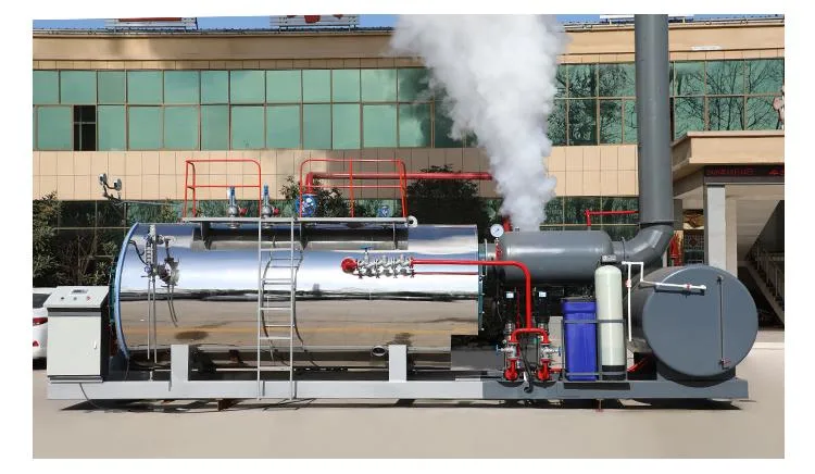 Mushroom Steam Sterilizer/2-10ton Capacity Steam Boiler for Mushroom Sterilize