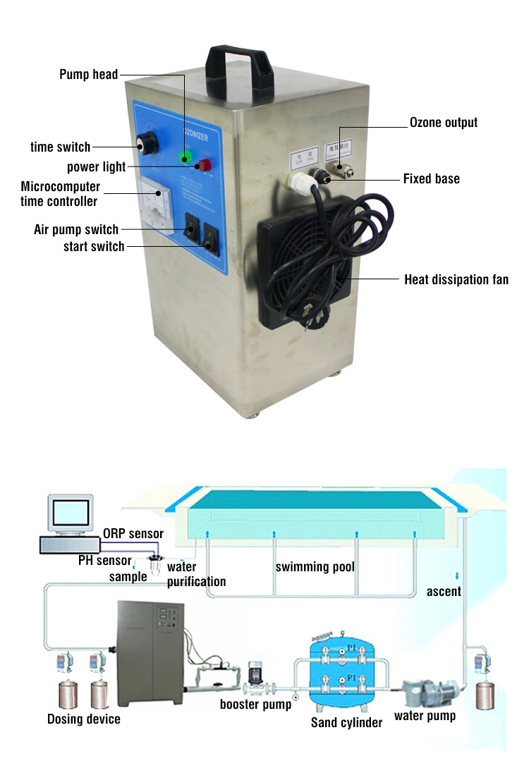Aquarium Swimming Pool Ozone Sterilizer for Water Disinfection System