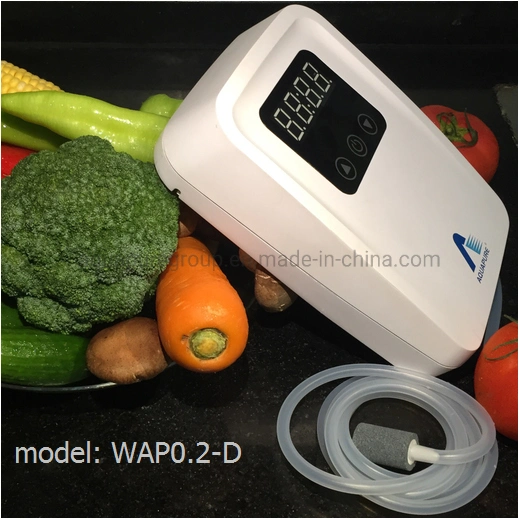 Small Ozone Generator Food Preservation Refrigerator Sterilizer Air Ozone Sterilizer