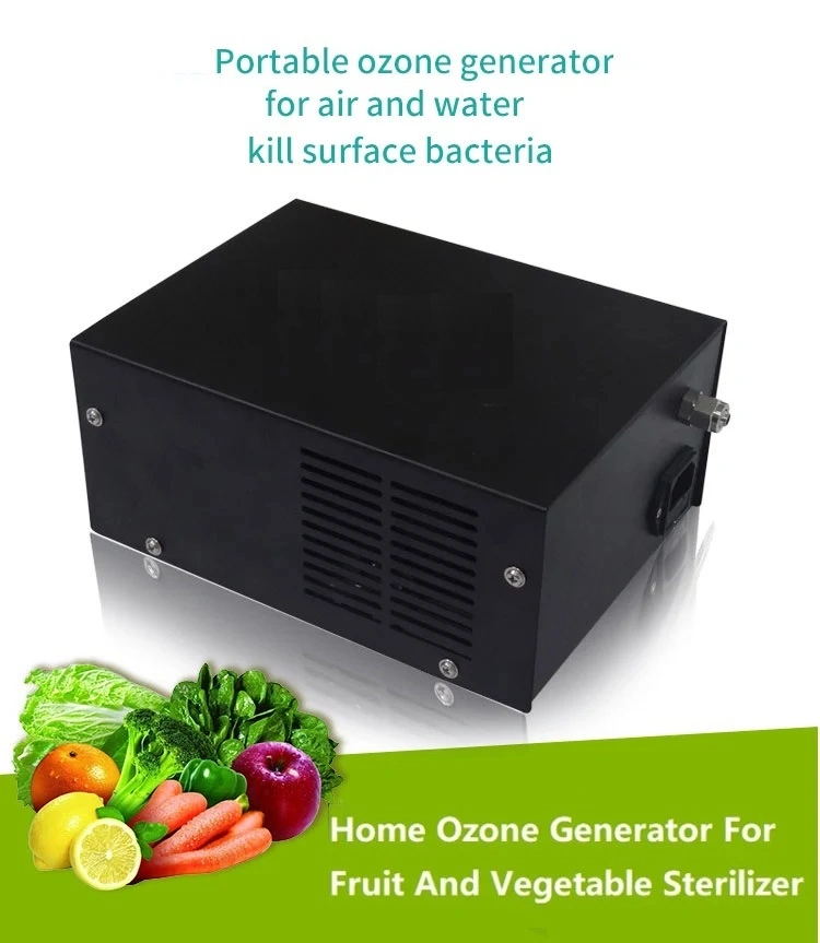 Portable Ozone Generator Ozone Food Sterilizer for Your Life