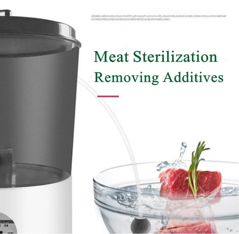 Ultrasonic Vegetable Fruit Washer Jewelry Watches Dental Cleaning Sterilizer Ozone Sterilization Sterilize Machine Household Vegetable Pesticide Detoxification