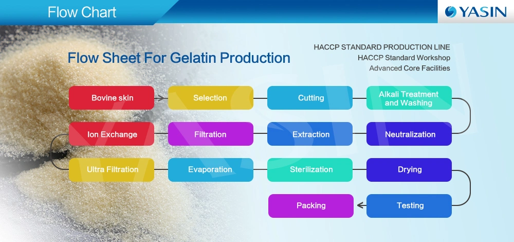 Gelatin Bovine Skin Gelatin Halal Fod Producing Gelatin Powder