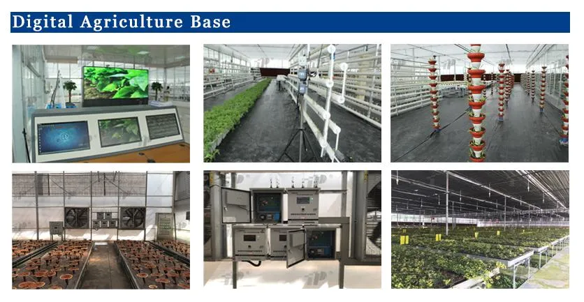 Portable High-Resolution Food Nitrate Ion Detection