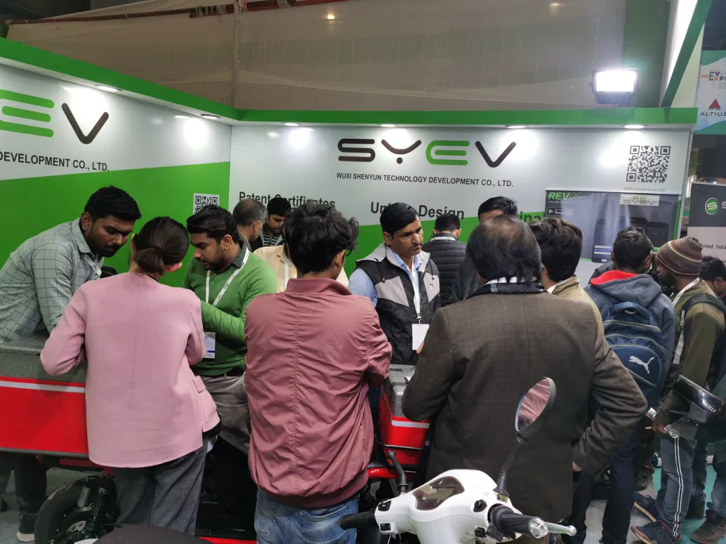 Syev 800W New Take Away Electric Mope Ebike with Delivery Box for Fast Fod Electric Bicycle Electric Motorcycle