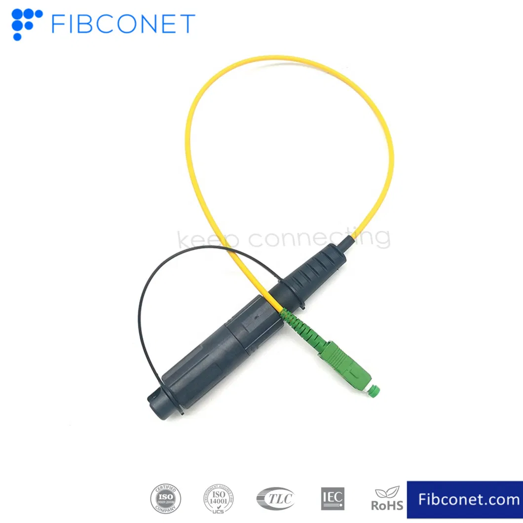 Fiber Optic Patch Cord Cat5e/CAT6 UTP Ethernet Simplex/Duplex RJ45 Rj11 Cpri Drop Sc/LC/FC/St/MPO/Mu/MTRJ/E2000 Patch Cable