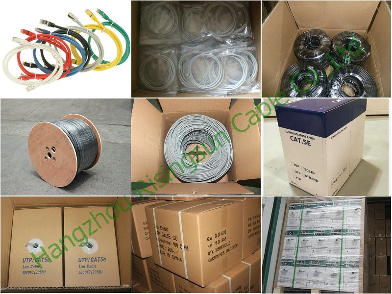 Outdoor Use High Speed LAN Cable SFTP Cat7