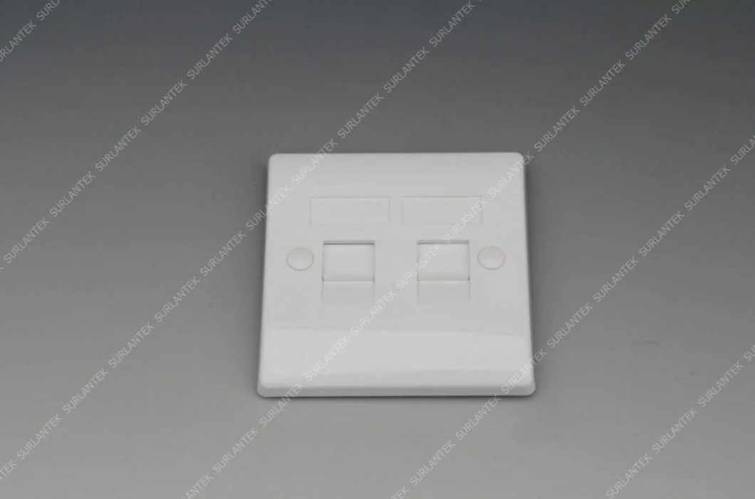 ABS Plastic Network Face Plate for Cat5e CAT6 Keystone Jack