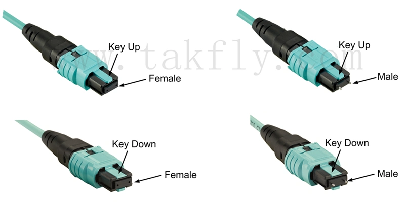 MPO Male to LC Sm 0.9mm Fiber Cable Patchcord for Patch Panel