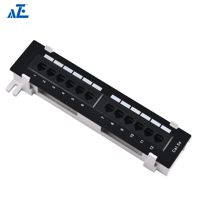 Aze Wall Mount 12 Ports Cat5e UTP Patch Panel -C5epanel12wm