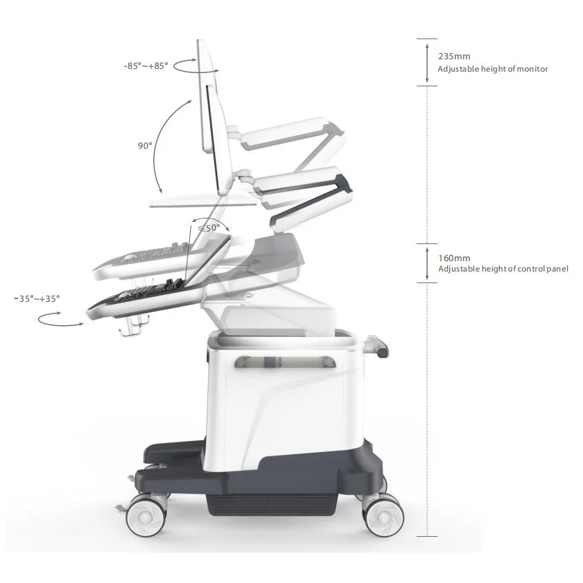 Trolley 3D/4D Color Ultrasound Machine in Abdomen, Ob/Gyn