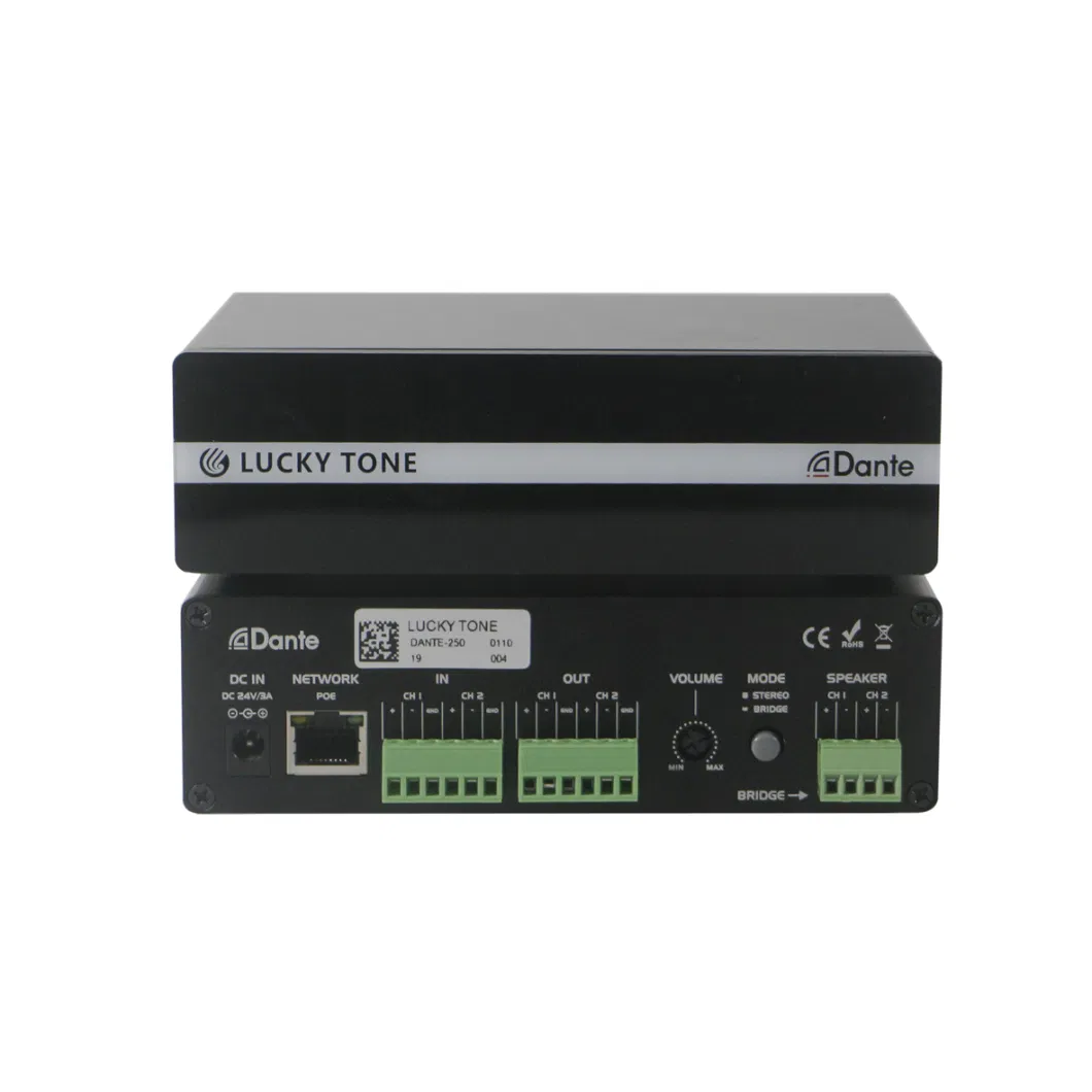 2 Channels Multifunctional Dante Network Amplifier 2*50W Poe for PA Sound System