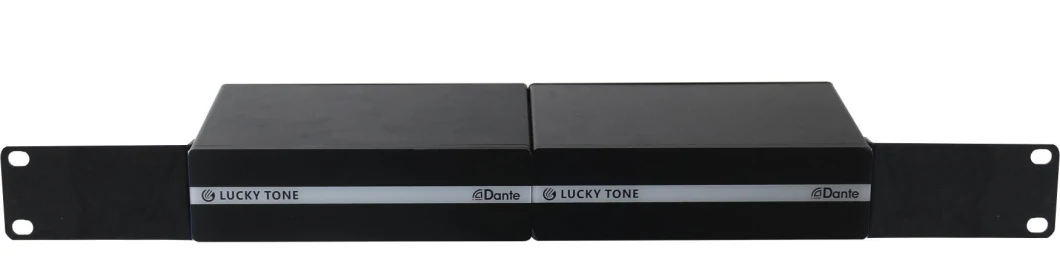 2 Channels Multifunctional Dante Network Amplifier 2*50W Poe for PA Sound System