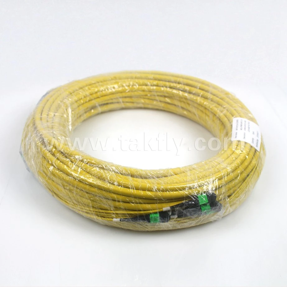 48 Cores Fiber Optic MPO Trunk Cable Patchcord