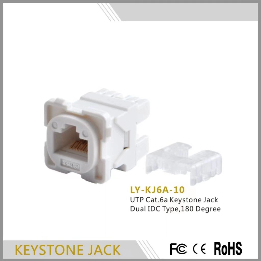 Most popular CAT.6A UTP Dual IDC Type 180 degree KEYSTONE JACK