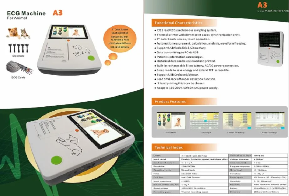 Cheap Three Channels 12 Lead Vet ECG Digital Electrocardiogtaph Device 3-Channel ECG for Animal China Supplier Price