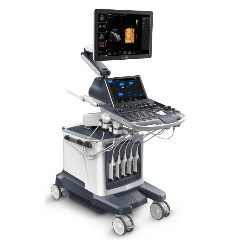 Trolley 3D/4D Color Ultrasound Machine in Abdomen, Ob/Gyn