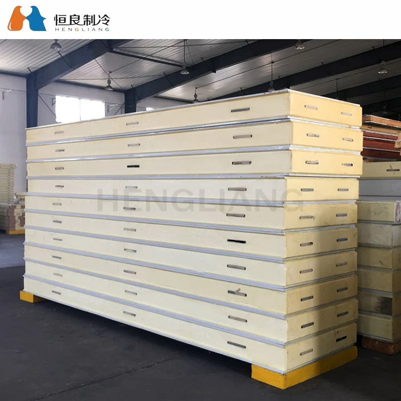 One Stop Solution PU Sandwich Panel Price for Cold Room Connection Freezer Room Wall Chiller Door