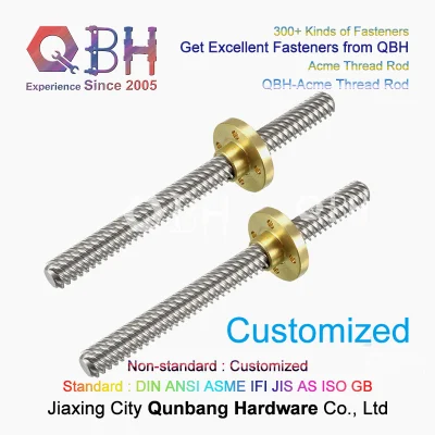 Qbh rullo a sezione quadrata trapezoidale personalizzato in Acme con asta a filettatura lunga Vite di testa ODM OEM con inserto a barra