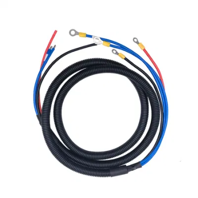 Connettore maschio terminale personalizzato professionale per ECU gruppo cavo diagnostica intelligente Cablaggio del settore automobilistico