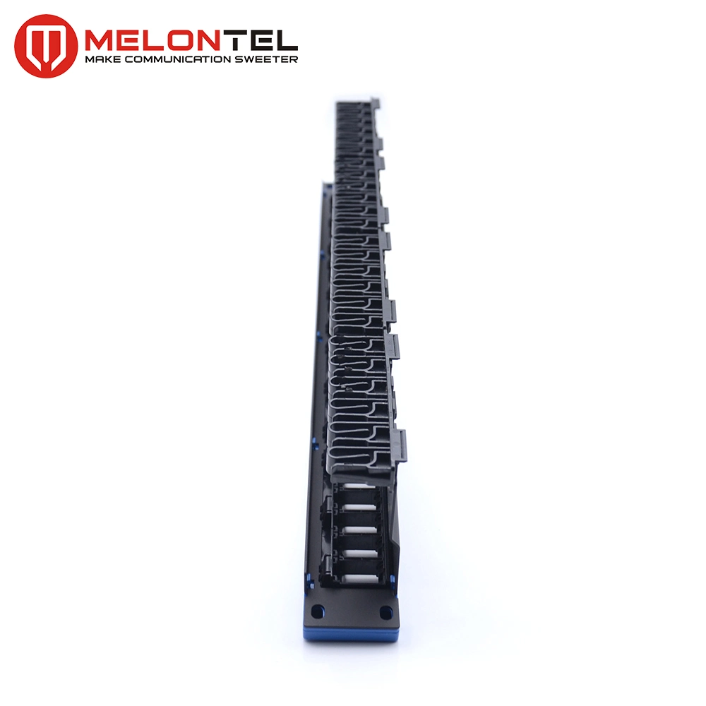 19 Inch Plastic 24 Port Blank Patch Panel with Cable Manager