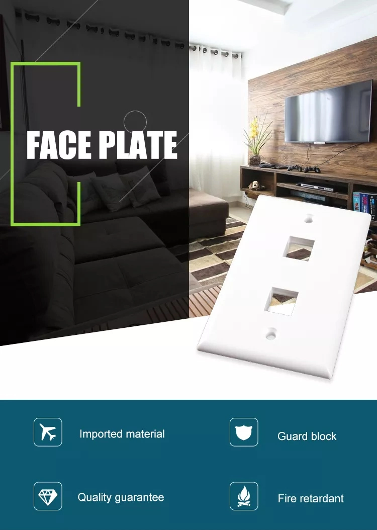 2 Ports Modular Jack Face Plate Data Faceplate Us Standard Wall Plate Faceplate RJ45 Face Plate