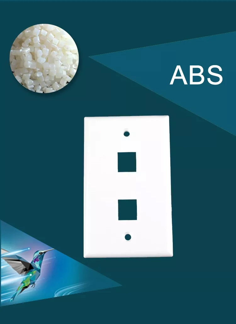 2 Ports Modular Jack Face Plate Data Faceplate Us Standard Wall Plate Faceplate RJ45 Face Plate